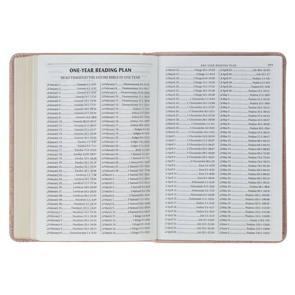 KJV Bible Compact Faux Leather, Pink 2025