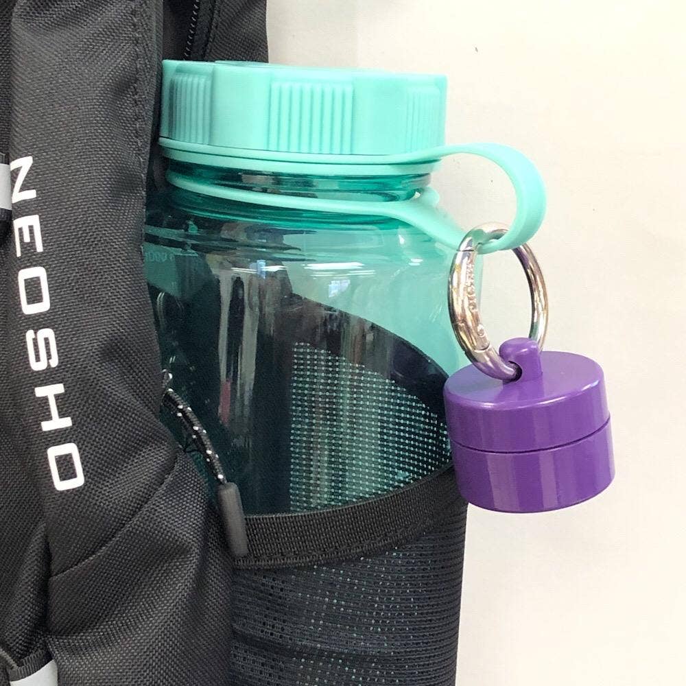 Purple Lion Latch Jewelry/Pill Tote