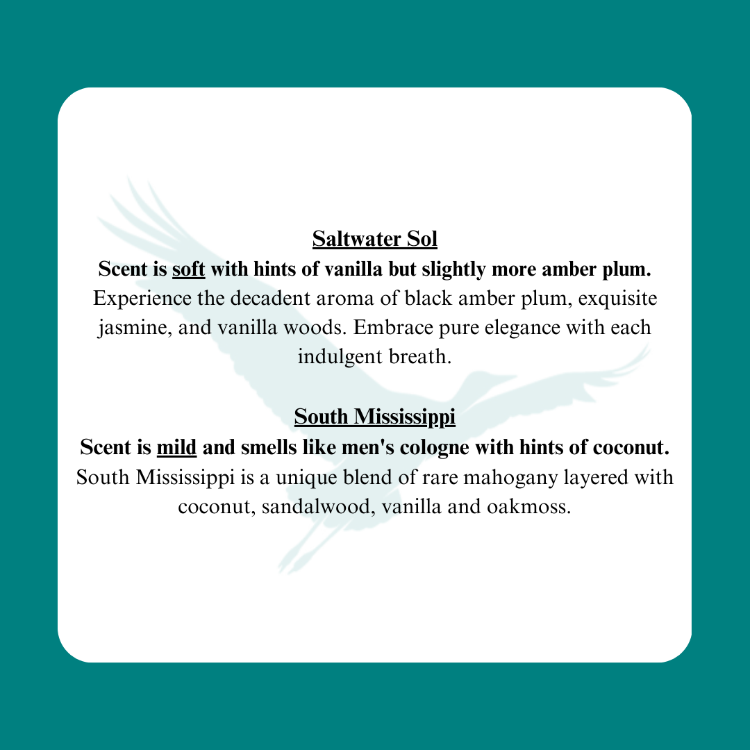 All Purpose Scented Cleaner: Saltwater Sol / Large 34oz