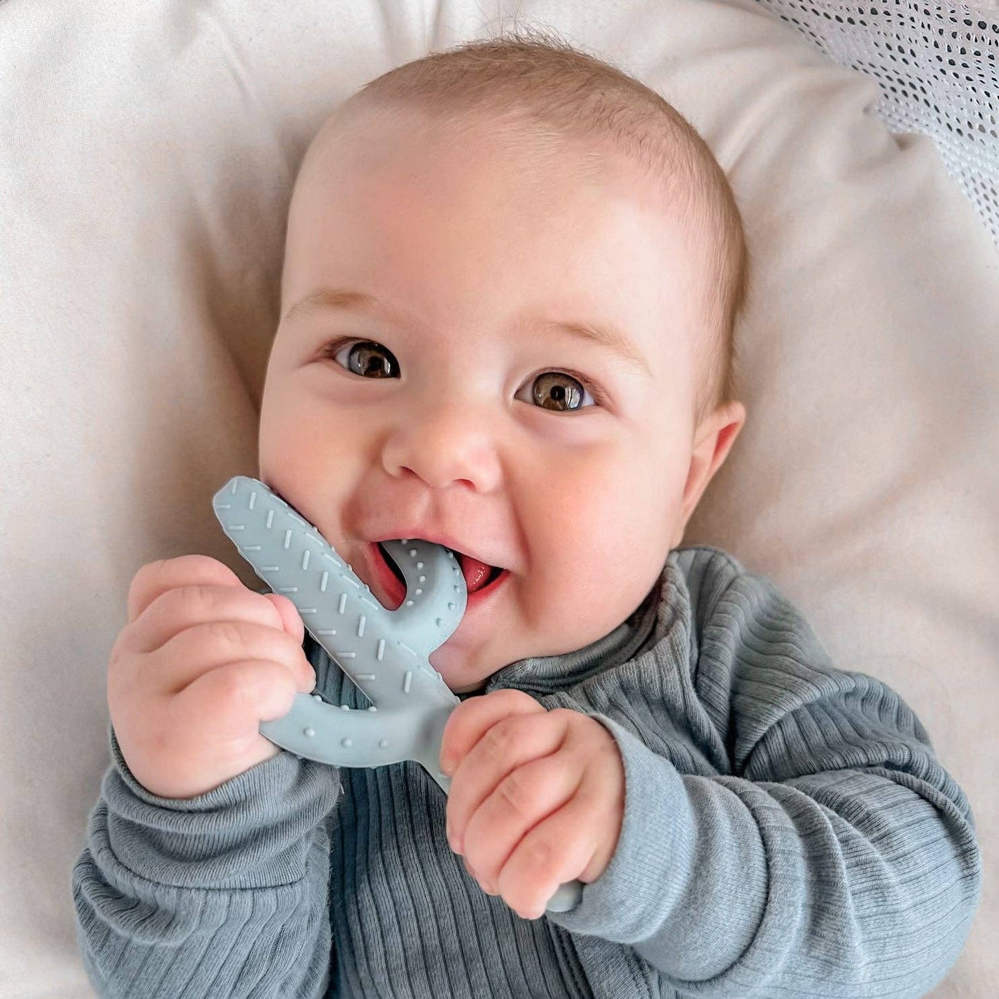 Cactus Teether Toy: Rose
