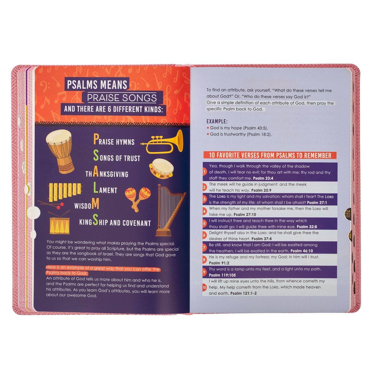 KJV Bible Kid Edition Faux Leather, Light Pink
