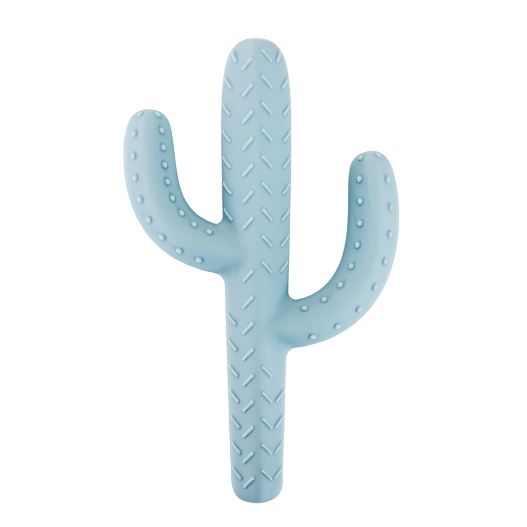 Cactus Teether Toy: Rose