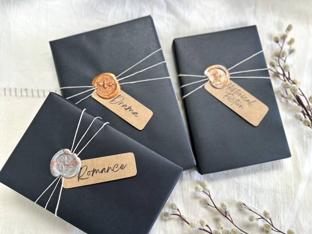 Surprise Book, NEW Books, You Choose Genre, Date with a Book: Mystery/Suspense