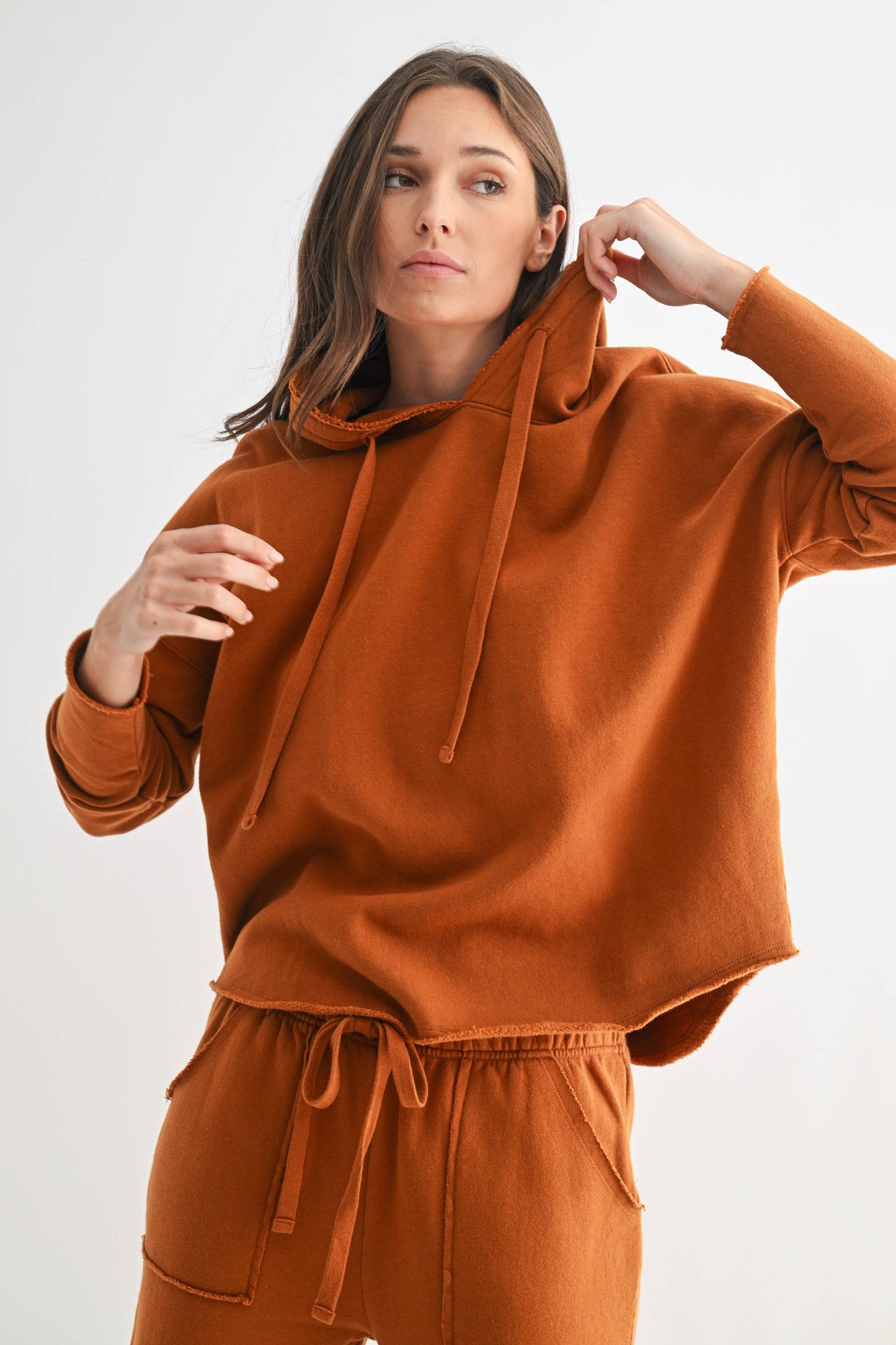 Malibu Everyday Hoodie: ROSE TAUPE / S:M:L (2:2:2)
