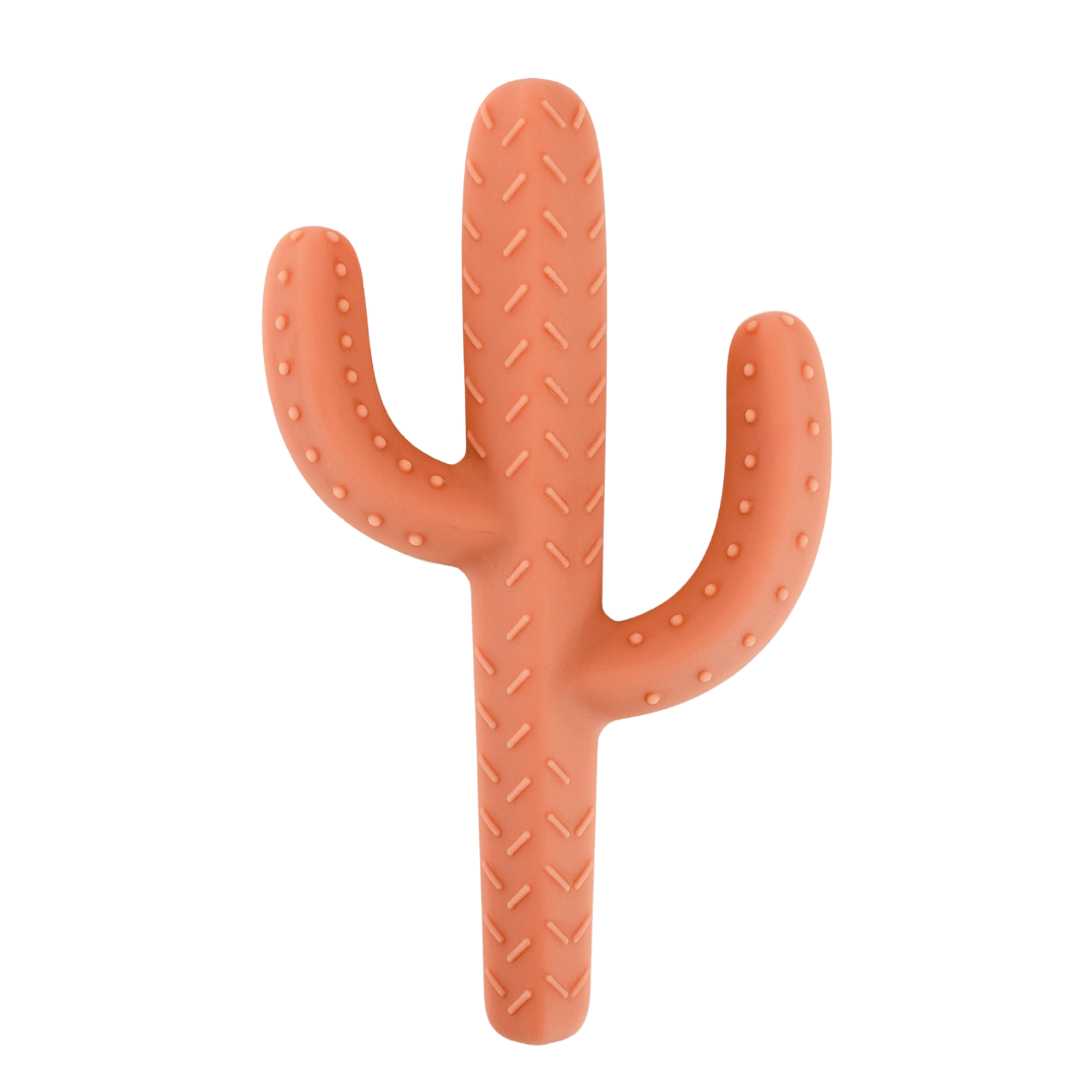Cactus Teether Toy: Rose