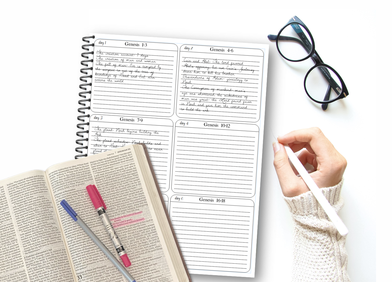 One Year Bible Reading Guide- Poppy