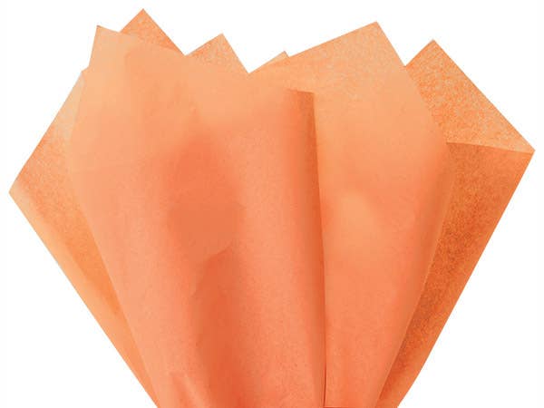 Color Tissue Paper 20X30" 24 Sheet Pack: Fuchsia Pink / 24 Pack / 20x30"