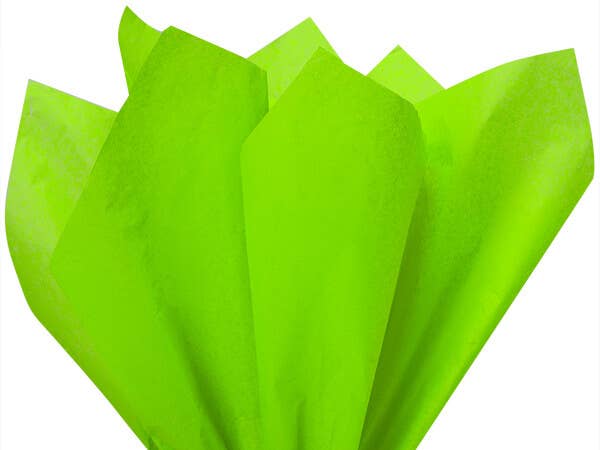 Color Tissue Paper 20X30" 24 Sheet Pack: Fuchsia Pink / 24 Pack / 20x30"