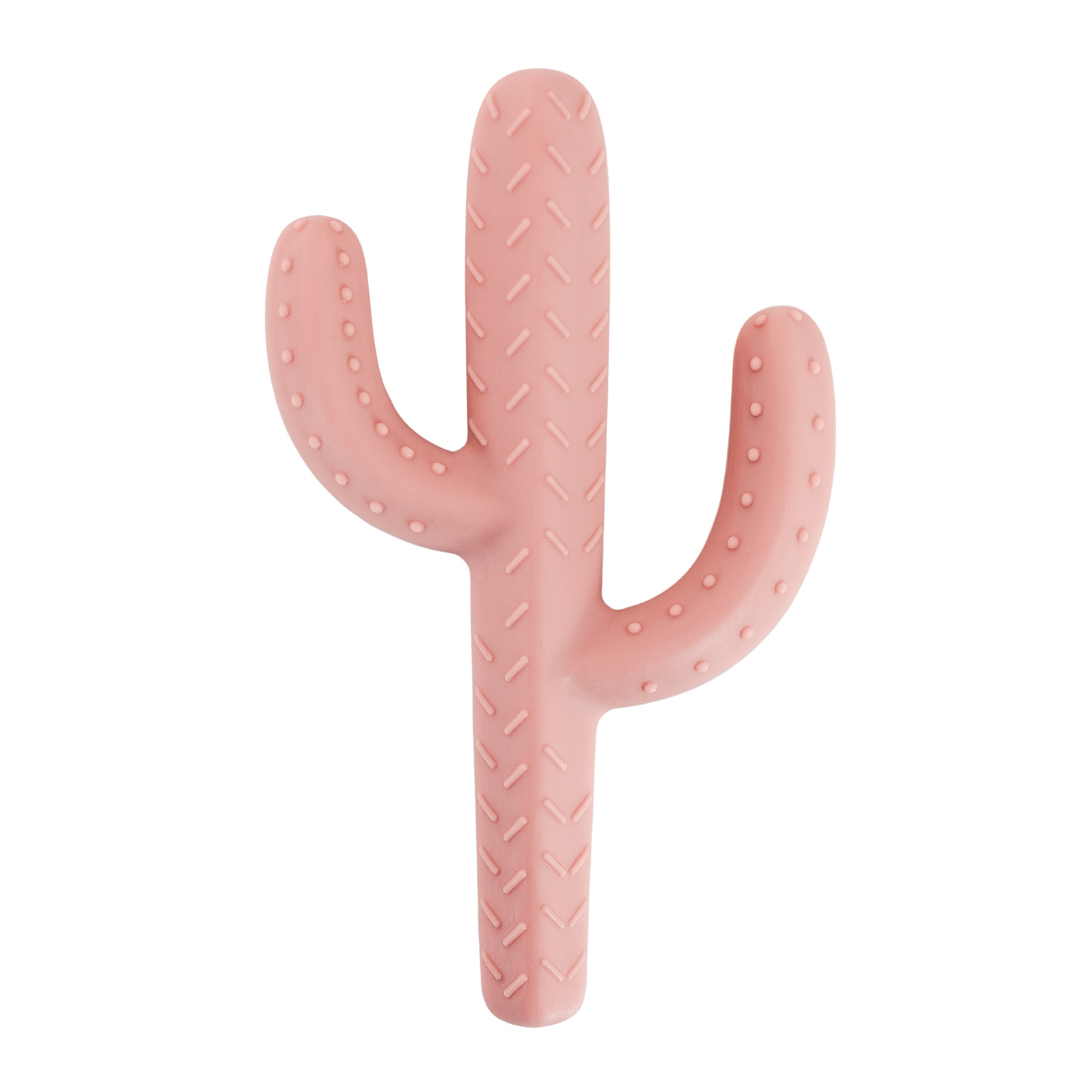 Cactus Teether Toy: Rose
