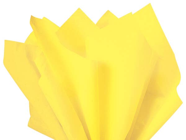 Color Tissue Paper 20X30" 24 Sheet Pack: Fuchsia Pink / 24 Pack / 20x30"