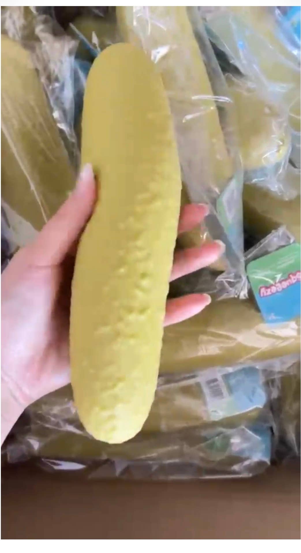 Jumbo 11” Pickle Fidget Squishy