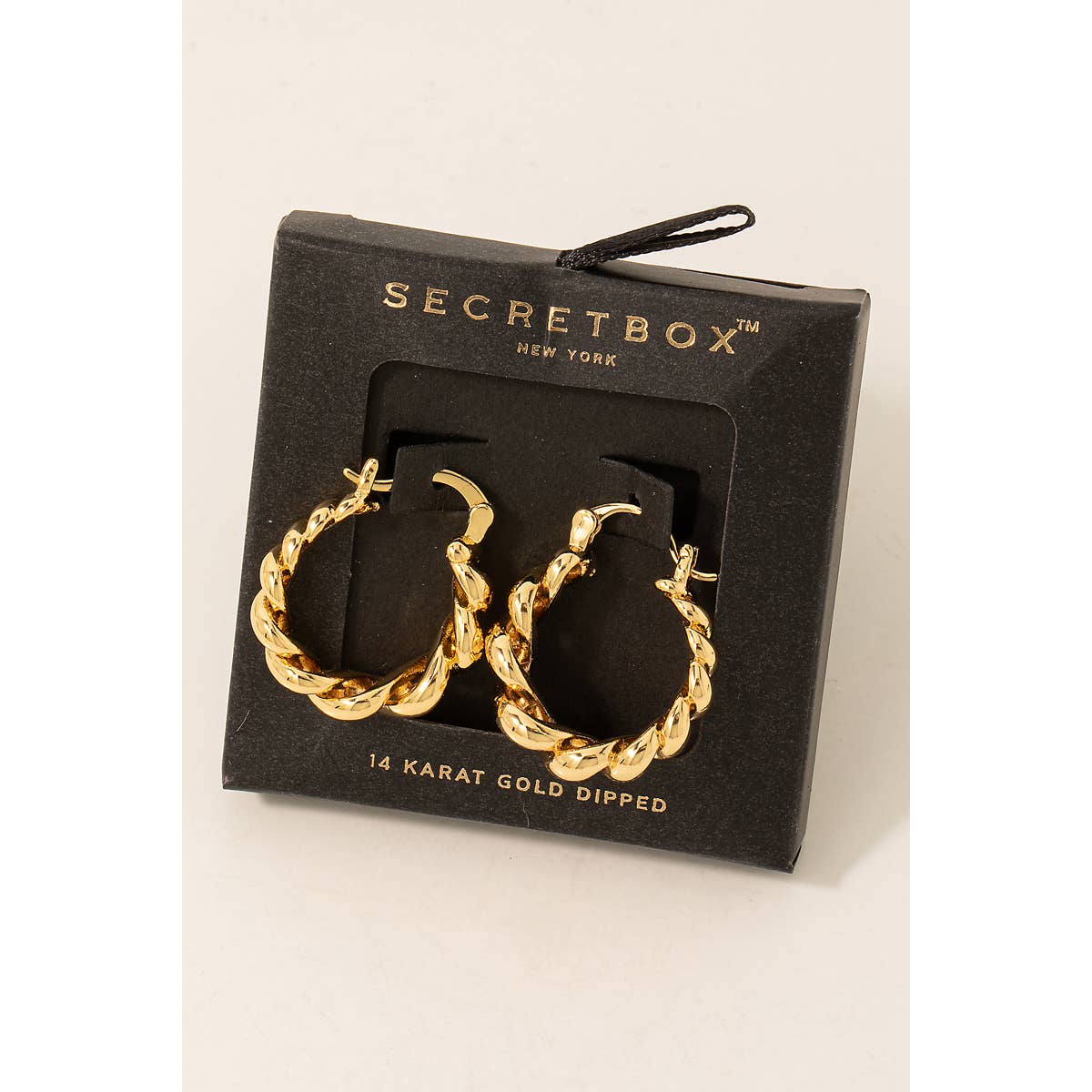 Secret Box Metallic Braided Hoop Earrings: GD